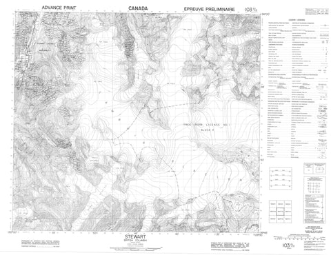 103P13 Stewart Canadian topographic map, 1:50,000 scale