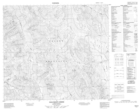 104A01 Sallysout Creek Canadian topographic map, 1:50,000 scale