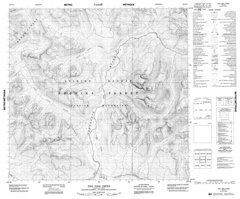 104I10 Two Fish Creek Canadian topographic map, 1:50,000 scale