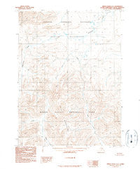 Ambler River C-6 Alaska Historical topographic map, 1:63360 scale, 15 X 15 Minute, Year 1990