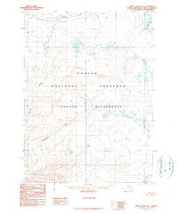 Ambler River D-6 Alaska Historical topographic map, 1:63360 scale, 15 X 15 Minute, Year 1990