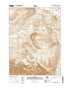 Ambler River D-2 SW Alaska Current topographic map, 1:25000 scale, 7.5 X 7.5 Minute, Year 2016