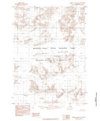 Bering Glacier C-2 Alaska Historical topographic map, 1:63360 scale, 15 X 15 Minute, Year 1985