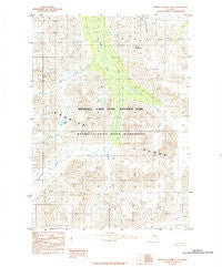 Bering Glacier D-4 Alaska Historical topographic map, 1:63360 scale, 15 X 15 Minute, Year 1984