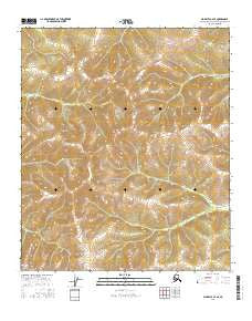 Big Delta C-4 SE Alaska Current topographic map, 1:25000 scale, 7.5 X 7.5 Minute, Year 2016