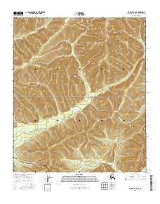 Big Delta C-6 SE Alaska Current topographic map, 1:25000 scale, 7.5 X 7.5 Minute, Year 2016