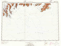 Blying Sound Alaska Historical topographic map, 1:250000 scale, 1 X 3 Degree, Year 1953
