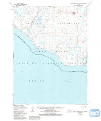 Cape Mendenhall D-5 Alaska Historical topographic map, 1:63360 scale, 15 X 15 Minute, Year 1952