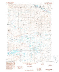 Chandalar C-1 Alaska Historical topographic map, 1:63360 scale, 15 X 15 Minute, Year 1990