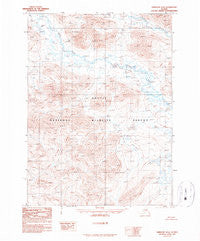 Christian D-6 Alaska Historical topographic map, 1:63360 scale, 15 X 15 Minute, Year 1990