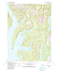 Craig A-2 Alaska Historical topographic map, 1:63360 scale, 15 X 15 Minute, Year 1951