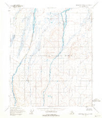 Demarcation Point C-5 Alaska Historical topographic map, 1:63360 scale, 15 X 15 Minute, Year 1955