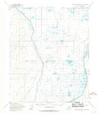 Demarcation Point D-5 Alaska Historical topographic map, 1:63360 scale, 15 X 15 Minute, Year 1955