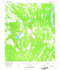 Fairbanks B-1 Alaska Historical topographic map, 1:63360 scale, 15 X 15 Minute, Year 1950