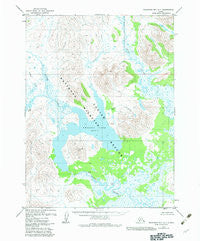 Goodnews Bay A-1 Alaska Historical topographic map, 1:63360 scale, 15 X 15 Minute, Year 1979