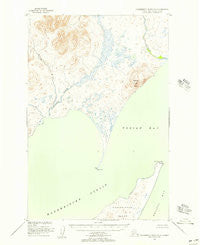 Hagemeister Island D-3 Alaska Historical topographic map, 1:63360 scale, 15 X 15 Minute, Year 1948