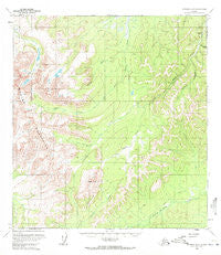 Iditarod D-2 Alaska Historical topographic map, 1:63360 scale, 15 X 15 Minute, Year 1954