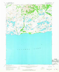 Iliamna C-7 Alaska Historical topographic map, 1:63360 scale, 15 X 15 Minute, Year 1954