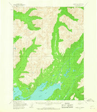 Iliamna D-3 Alaska Historical topographic map, 1:63360 scale, 15 X 15 Minute, Year 1954