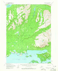 Iliamna D-4 Alaska Historical topographic map, 1:63360 scale, 15 X 15 Minute, Year 1954