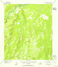 Kantishna River C-2 Alaska Historical topographic map, 1:63360 scale, 15 X 15 Minute, Year 1954