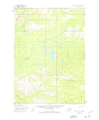 Lake Clark C-4 Alaska Historical topographic map, 1:63360 scale, 15 X 15 Minute, Year 1954