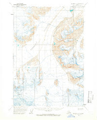 McCarthy D-6 Alaska Historical topographic map, 1:63360 scale, 15 X 15 Minute, Year 1960