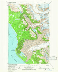 Mount Fairweather D-6 Alaska Historical topographic map, 1:63360 scale, 15 X 15 Minute, Year 1961