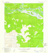 Mount Hayes C-1 Alaska Historical topographic map, 1:63360 scale, 15 X 15 Minute, Year 1955