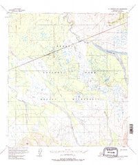 Mount McKinley B-3 Alaska Historical topographic map, 1:63360 scale, 15 X 15 Minute, Year 1954
