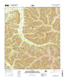 Mount Hayes D-1 NW Alaska Current topographic map, 1:25000 scale, 7.5 X 7.5 Minute, Year 2016