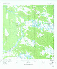 Nabesna C-1 Alaska Historical topographic map, 1:63360 scale, 15 X 15 Minute, Year 1955