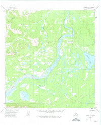 Nabesna C-3 Alaska Historical topographic map, 1:63360 scale, 15 X 15 Minute, Year 1955