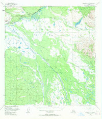 Nabesna C-6 Alaska Historical topographic map, 1:63360 scale, 15 X 15 Minute, Year 1948