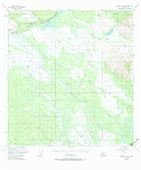 Nabesna C-6 Alaska Historical topographic map, 1:63360 scale, 15 X 15 Minute, Year 1948