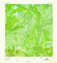 Nabesna D-3 Alaska Historical topographic map, 1:63360 scale, 15 X 15 Minute, Year 1955