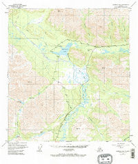 Nabesna D-6 Alaska Historical topographic map, 1:63360 scale, 15 X 15 Minute, Year 1949