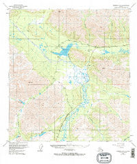 Nabesna D-6 Alaska Historical topographic map, 1:63360 scale, 15 X 15 Minute, Year 1949