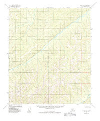 Nulato D-6 Alaska Historical topographic map, 1:63360 scale, 15 X 15 Minute, Year 1955