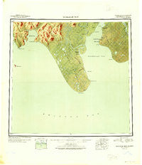 Nushagak Bay Alaska Historical topographic map, 1:250000 scale, 1 X 2 Degree, Year 1949