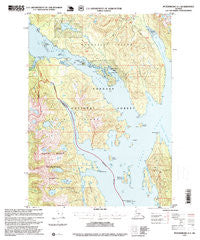 Petersburg A-1 Alaska Historical topographic map, 1:63360 scale, 15 X 15 Minute, Year 1995