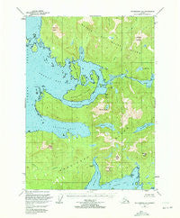 Petersburg A-5 Alaska Historical topographic map, 1:63360 scale, 15 X 15 Minute, Year 1949