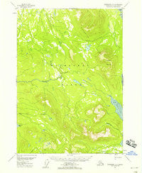 Petersburg D-5 Alaska Historical topographic map, 1:63360 scale, 15 X 15 Minute, Year 1948