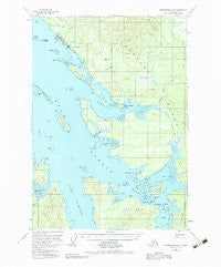 Petersburg D-6 Alaska Historical topographic map, 1:63360 scale, 15 X 15 Minute, Year 1951