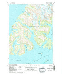 Seward D-3 Alaska Historical topographic map, 1:63360 scale, 15 X 15 Minute, Year 1951