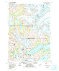 Seward D-5 Alaska Historical topographic map, 1:63360 scale, 15 X 15 Minute, Year 1951