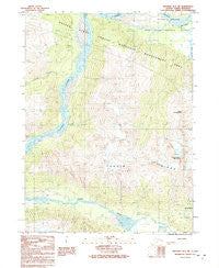 Skagway B-3 SW Alaska Historical topographic map, 1:25000 scale, 7.5 X 7.5 Minute, Year 1991