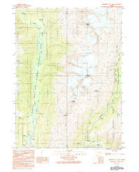 Skagway C-1 SW Alaska Historical topographic map, 1:25000 scale, 7.5 X 7.5 Minute, Year 1991