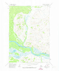 Sleetmute C-8 Alaska Historical topographic map, 1:63360 scale, 15 X 15 Minute, Year 1954