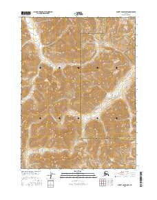 Survey Pass D-5 SW Alaska Current topographic map, 1:25000 scale, 7.5 X 7.5 Minute, Year 2016